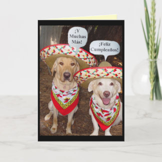Funny Lab Birthday Card in Spanish