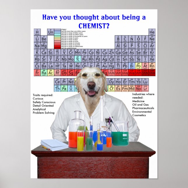 Funny Lab Chemistry Poster for Teachers (Front)