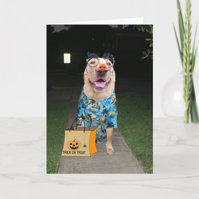 Funny Lab Dressed as Human Halloween Card (Front)