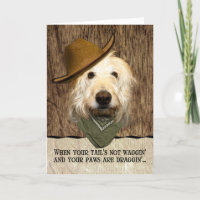 Funny Labradoodle In Cowboy Hat Bandana Get Well