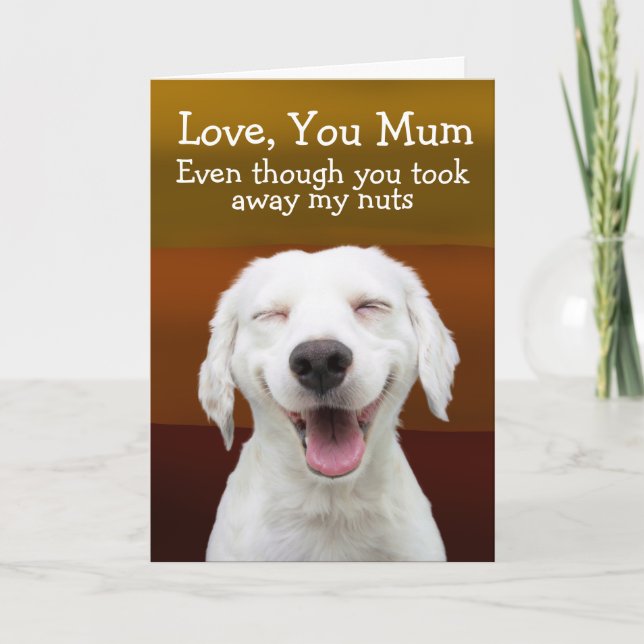 Funny labrador carte d'anniversaire (Devant)