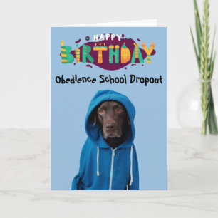 Funny Labrador dog birthday card