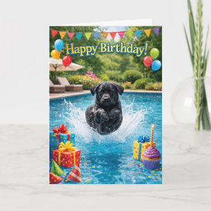 Funny Labrador puppy pool splash Card