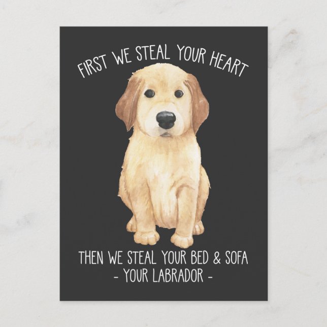 Funny Labrador Retriever Dog Lover Stubborn Puppy Postcard (Front)