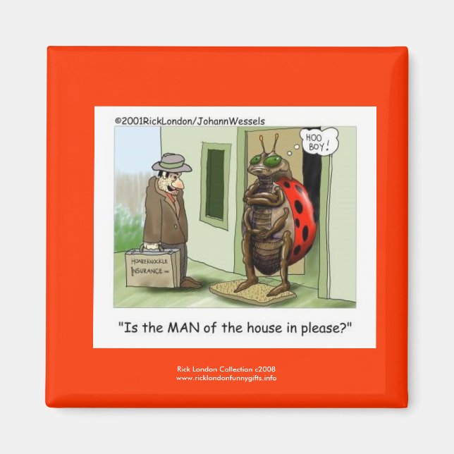 Funny Ladybug Cartoon On Quality Novelty Magnet (Front)