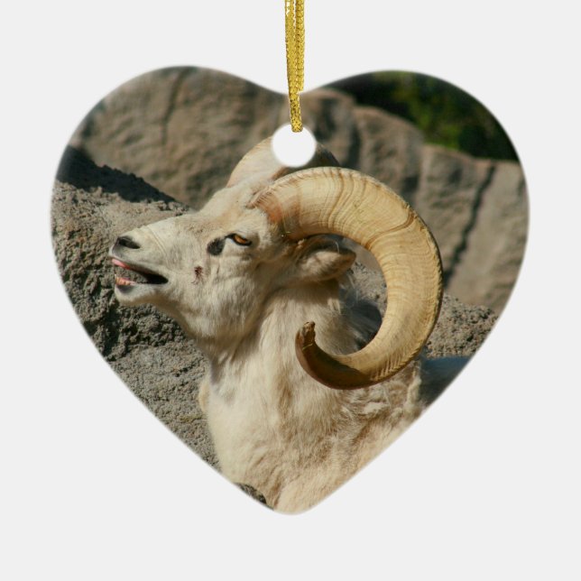 Funny Laughing Bighorn Sheep Ceramic Ornament (Front)