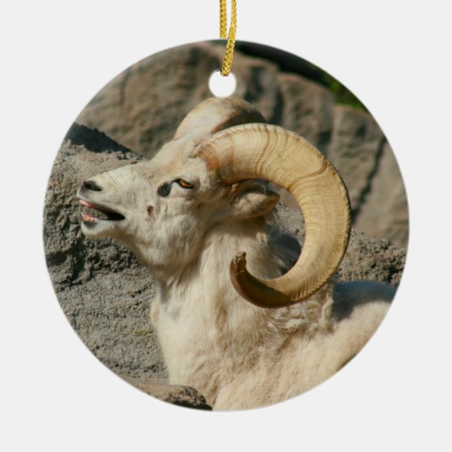 Funny Laughing Bighorn Sheep or Ram Ceramic Ornament (Front)