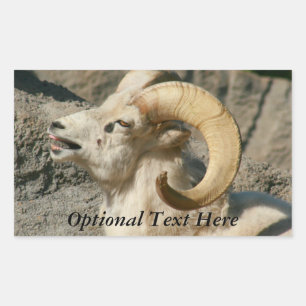Funny Laughing Bighorn Sheep or Ram Sticker