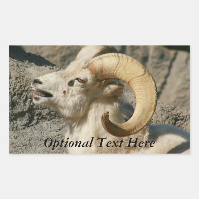 Funny Laughing Bighorn Sheep or Ram Sticker (Front)