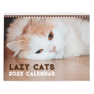 LAZY CAT CALENDAR 2023, Cat Wall Calendar, Original Cat Art, Kitty