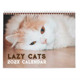 Funny Lazy Cats 2025 Calendar