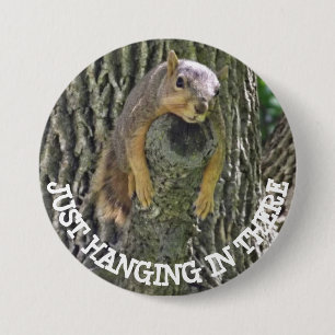 Funny Lazy Squirrel Napping in Tree Button