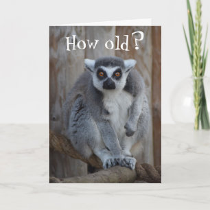 Funny Lemur Card