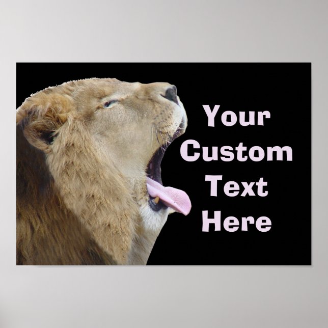 Funny Lion With Tongue Out Poster Print (Front)