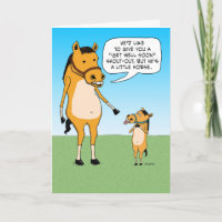 Funny Little Horse Get Well Soon