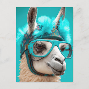 Funny Llama Alpaca Cute Animals Hats Glasses Postcard