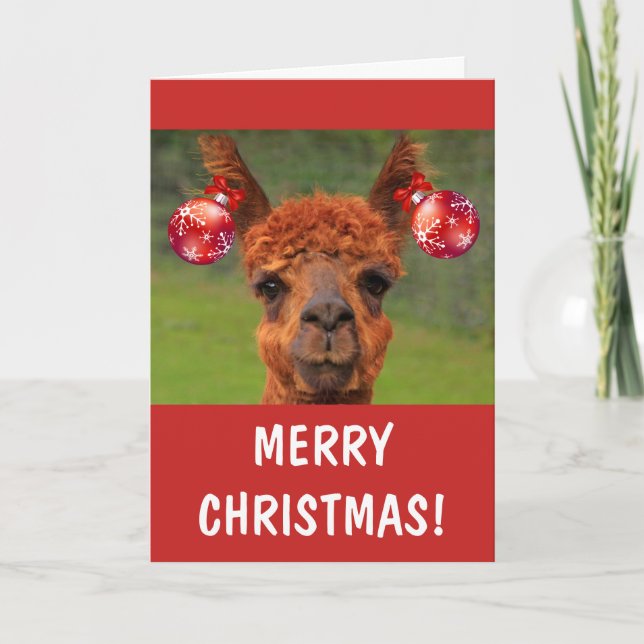 Funny Llama And Christmas Ornaments Holiday Card (Front)