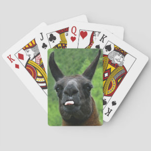 Funny Llama Attitude - Sticking out Tongue at You Playing Cards