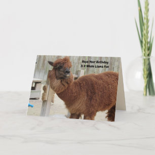 Funny Llama Birthday Card