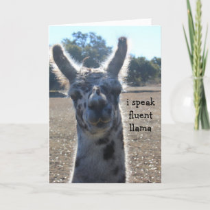 Funny Llama Birthday Card, I speak fluent llama... Card