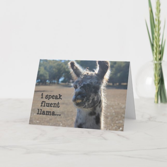 Funny Llama Birthday Card, I speak fluent llama. Card (Front)