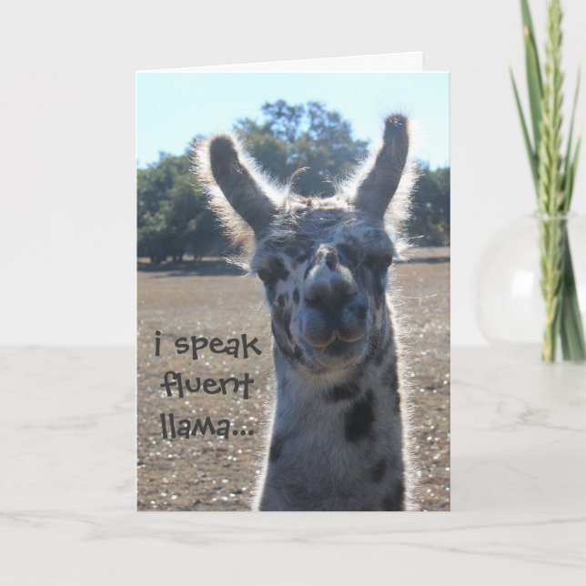 Funny Llama Birthday Card, I speak fluent llama... Card (Front)