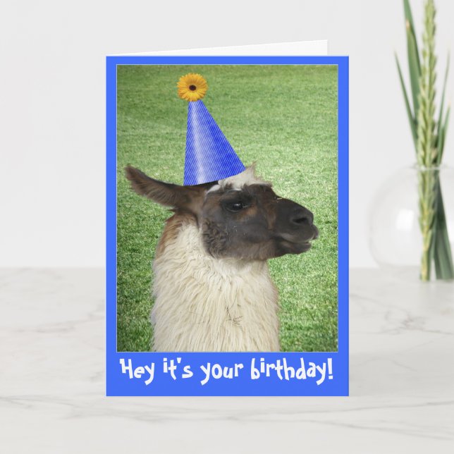 Funny Llama birthday card or invitation (Front)