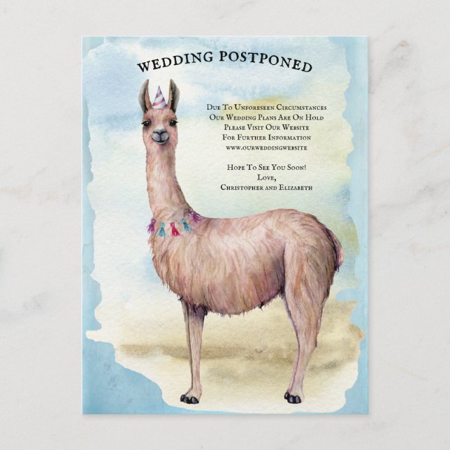 Funny Llama Blue Wedding Postponed Date Change Postcard (Front)