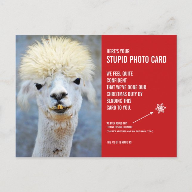 Funny Llama Christmas Stupid Photo Card Postcard (Front)