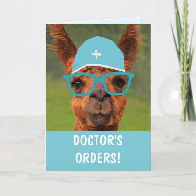 Funny Llama Doctor's Orders Get Well Card (Front)