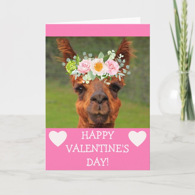 Funny Llama Flower Tiara Valentine's Day Holiday Card (Front)