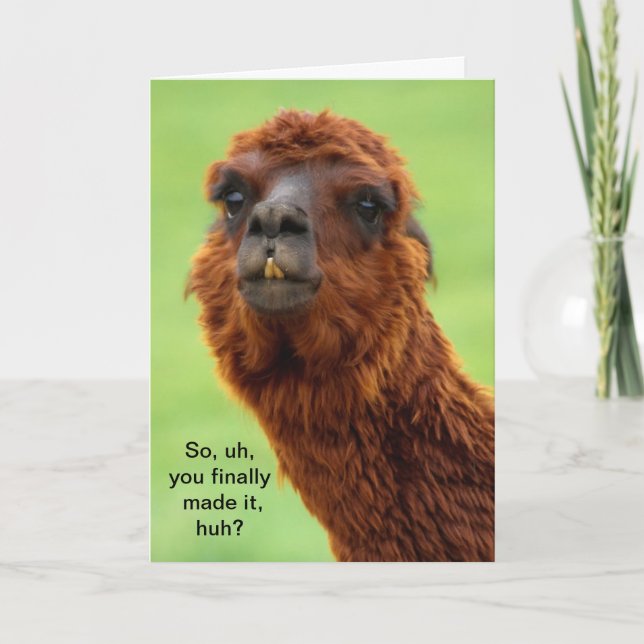 Funny Llama Graduation Card (Front)