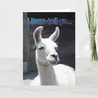 Funny Llama Happy Birthday Greeting Card