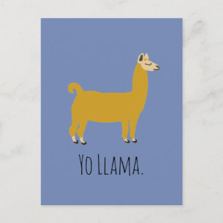 Funny Llama Pun Postcard