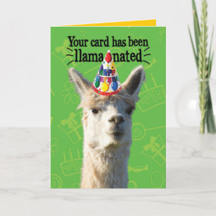 Funny Llama With Party Hat– Llamanated Birthday Card