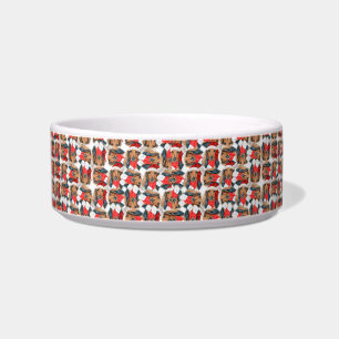 Funny Long Haired Dachshund Name Christmas Pattern Bowl
