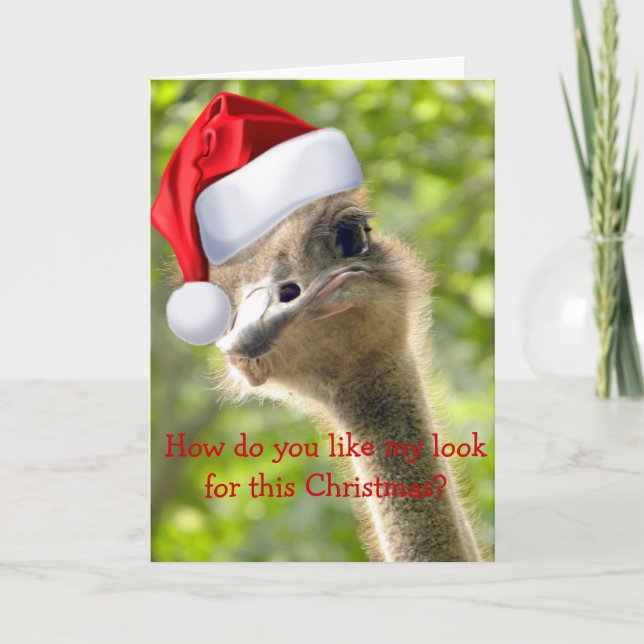 ©Funny Looking Ostrich Santa Custom Holiday Card (Front)