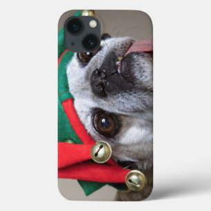 Funny looking pug with tongue hanging out iPhone 13 case