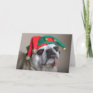 Funny looking pug with tongue hanging out holiday card