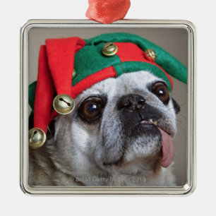 Funny looking pug with tongue hanging out metal ornament