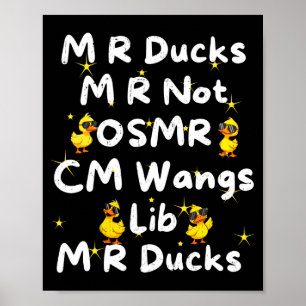 Funny M R Ducks M R Not Osmr Cm Wangs Lib M R Duck Poster