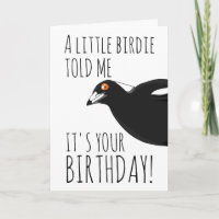 Funny magpie birthday card