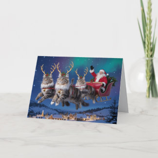 Funny Maine Coon Reindeer Christmas Card