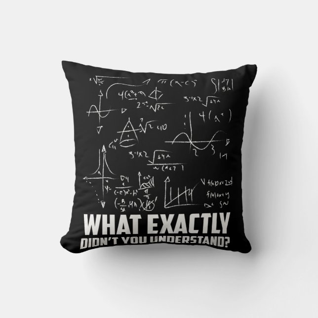 Funny Math Geek Physics Science Joke Throw Pillow (Front)