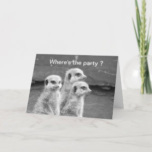 Funny Meerkat carte d'anniversaire