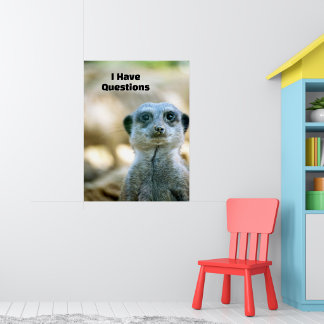 Funny Meerkat I Have Questions Animal Humour Poster