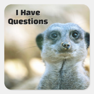 Funny Meerkat I Have Questions Animal Humour Square Sticker