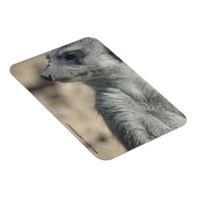 Funny Meerkat Magnet (Right Side)