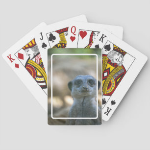 Funny Meerkat Playing Cards
