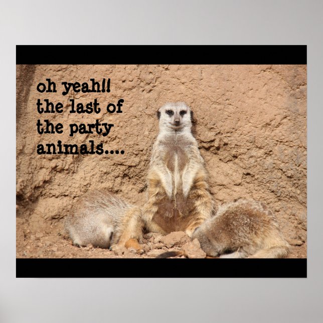 funny meerkat poster, Party Animal! Poster (Front)